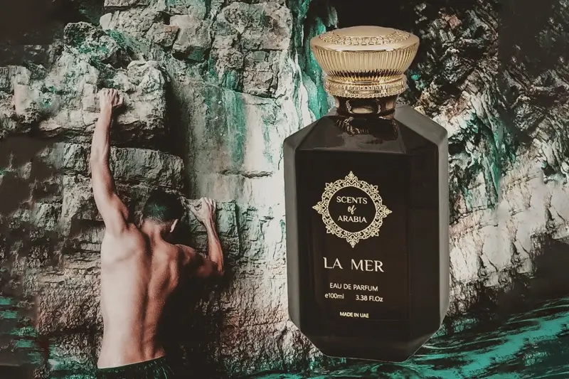 Import and export from UAE and Middle Eastern countries of Germany Photo